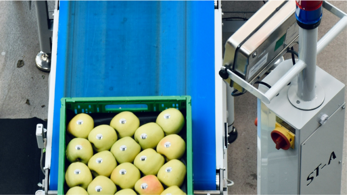 Automated Grading Process Compliance for Food Products