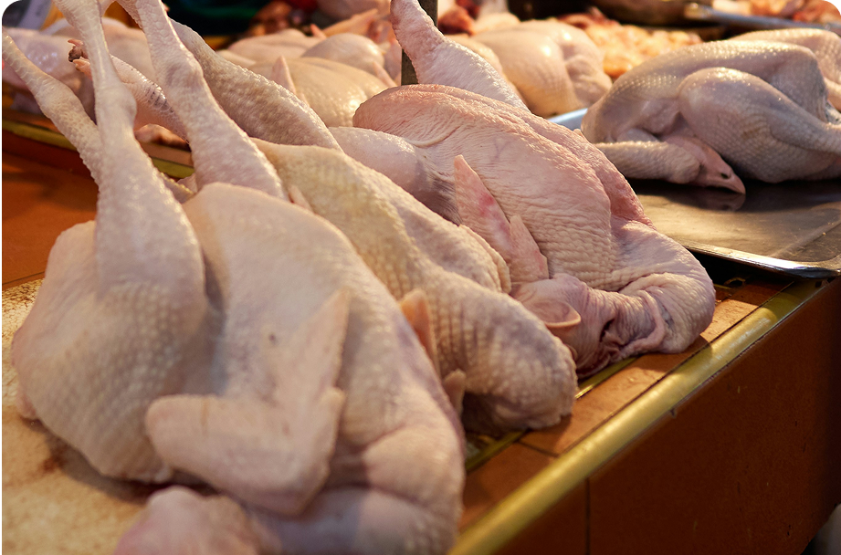 Whole Chicken Appearance Defect Detection and Grading